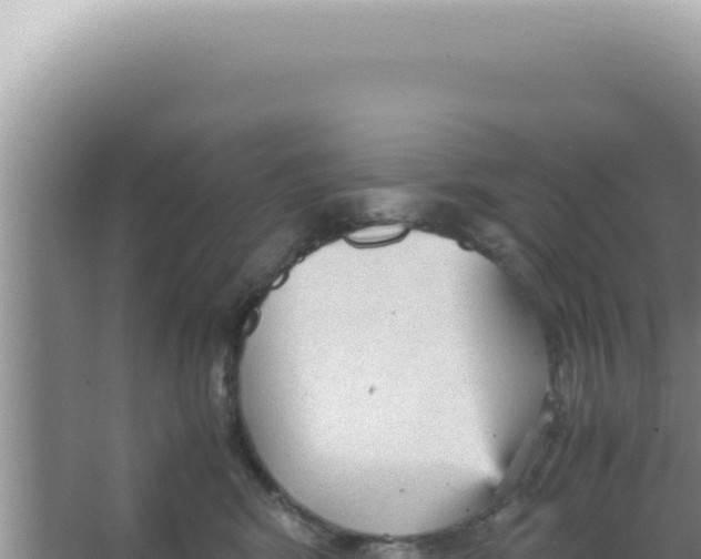 X0000066940424200604142028