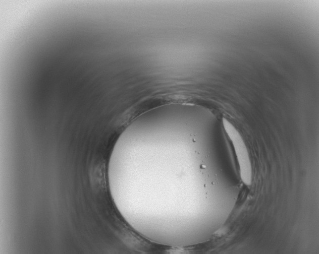 X0000066940425200604142028