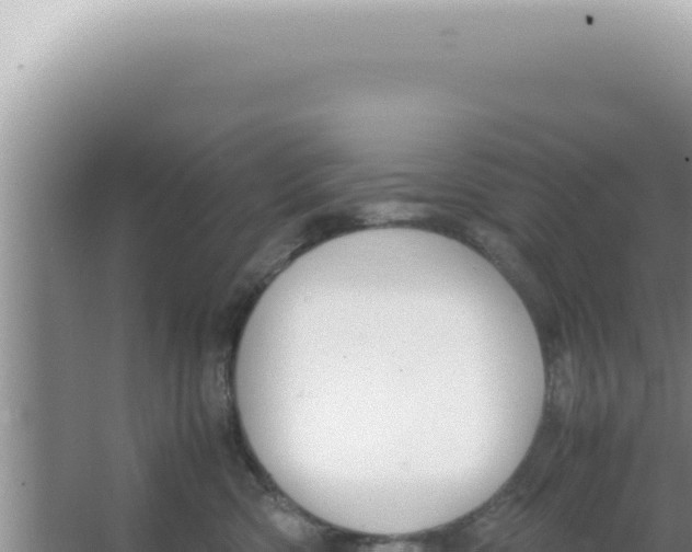 X0000066940426200604142028