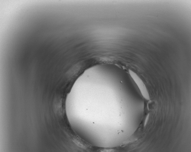 X0000066940428200604142028