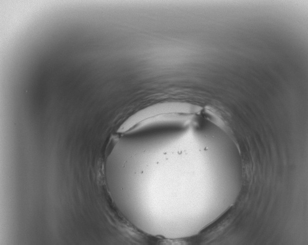 X0000066940429200604142028