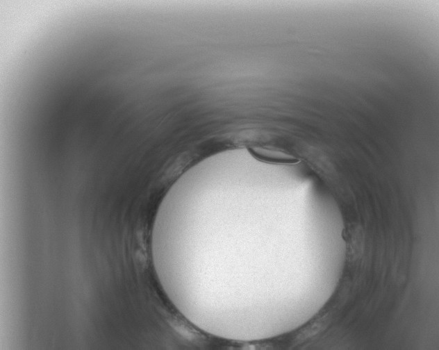 X0000066940430200604142028