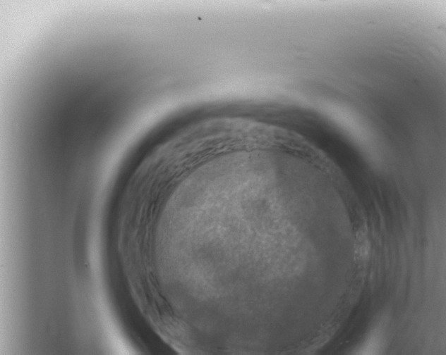 X0000066940431200604142028