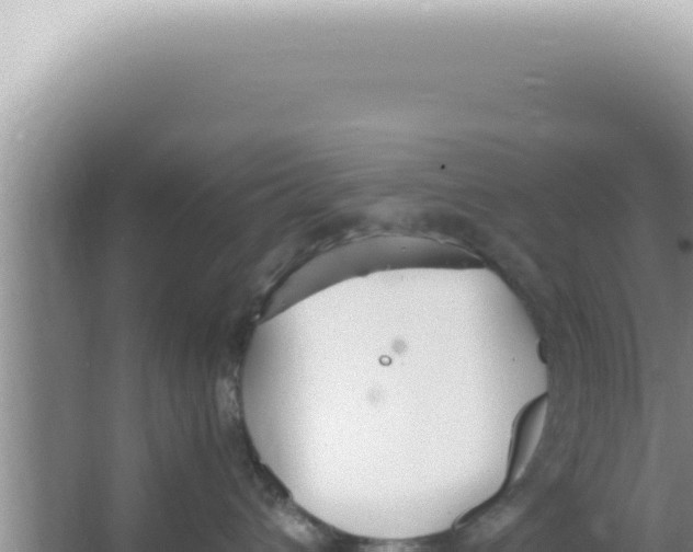 X0000066940432200604142028