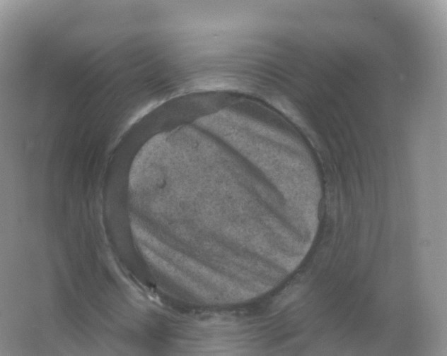 X0000066940434200604142027