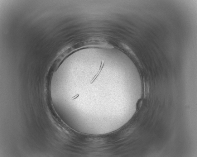 X0000066940435200604142027