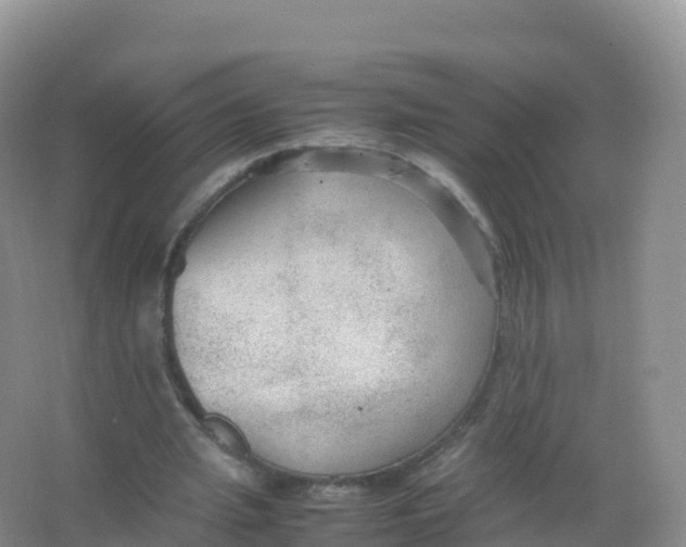 X0000066940437200604142027