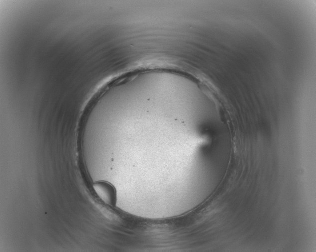 X0000066940438200604142027