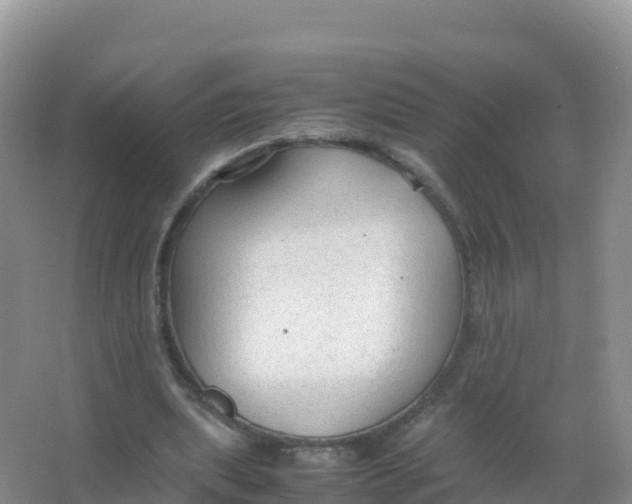 X0000066940439200604142027