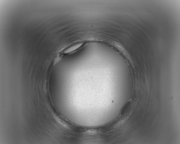 X0000066940441200604142028