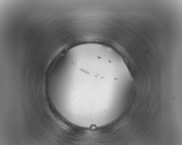 X0000066940442200604142028