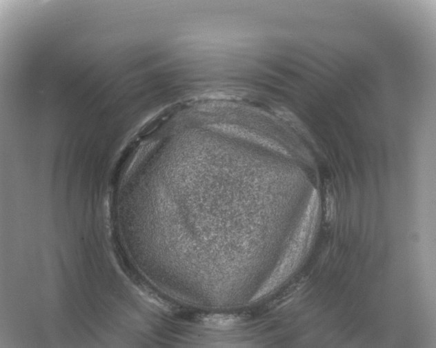 X0000066940444200604142028