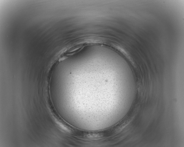 X0000066940445200604142028