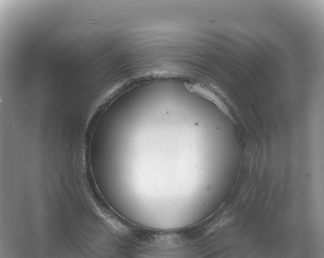 X0000066940446200604142028