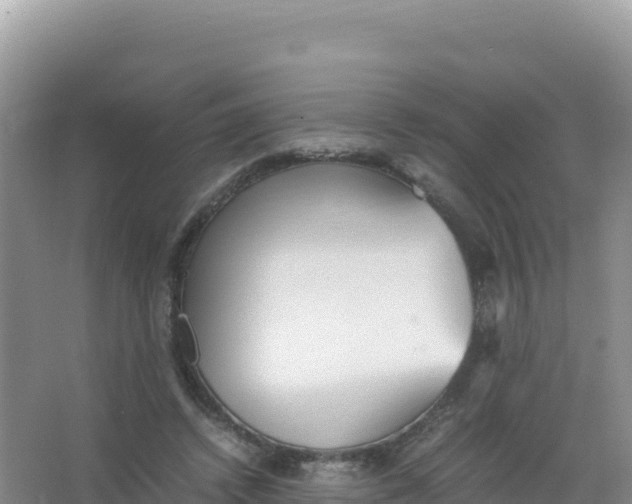 X0000066940448200604142028