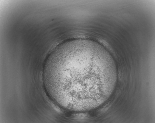 X0000066940449200604142028