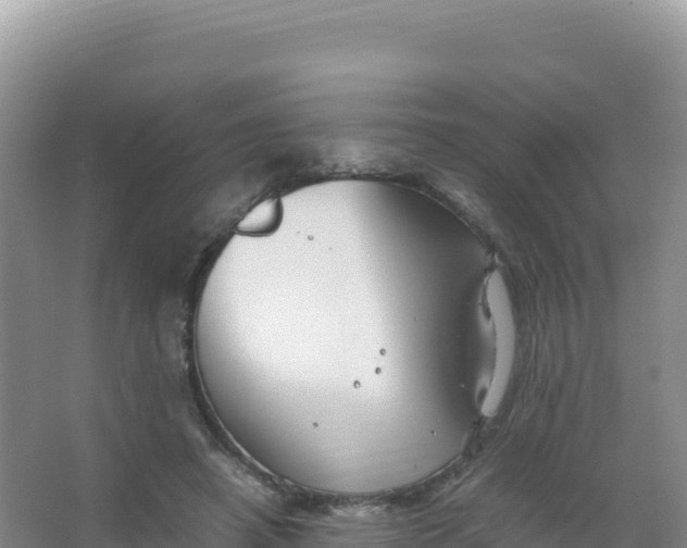 X0000066940450200604142028