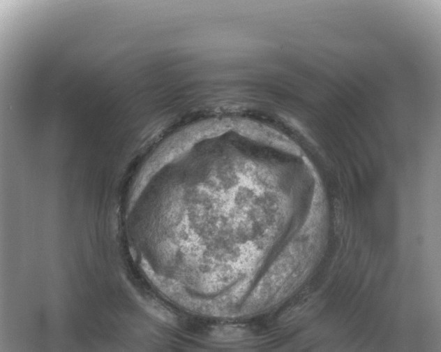 X0000066940451200604142028