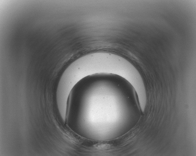 X0000066940452200604142028