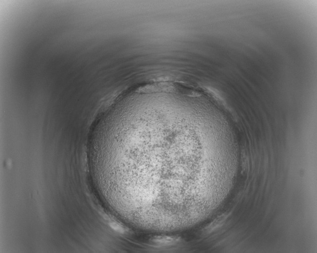 X0000066940453200604142028