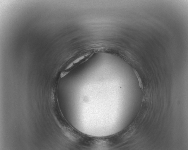 X0000066940456200604142028