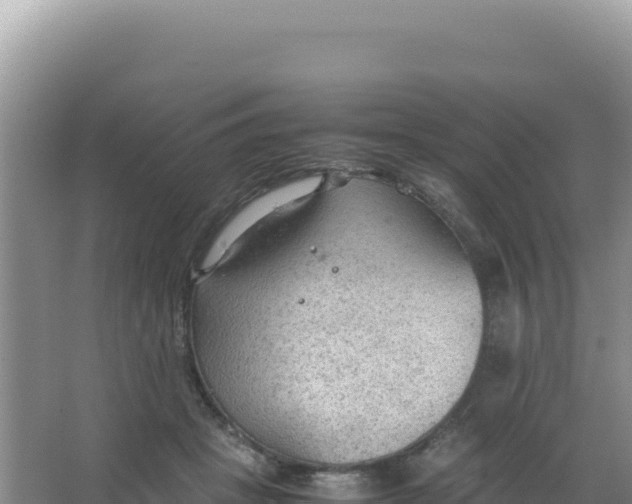 X0000066940457200604142028