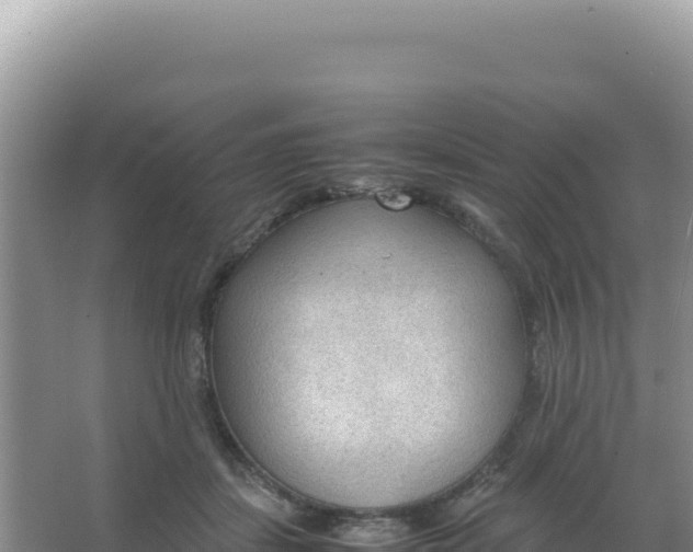 X0000066940459200604142028