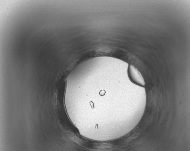 X0000066940463200604142028