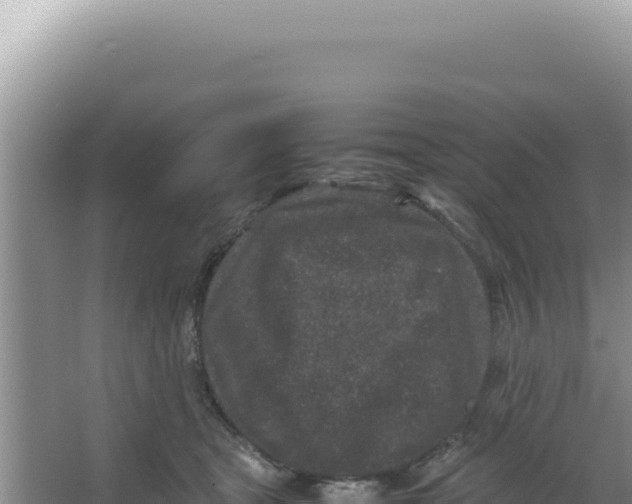 X0000066940465200604142028