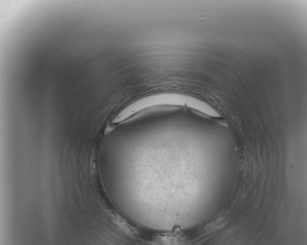 X0000066940466200604142028