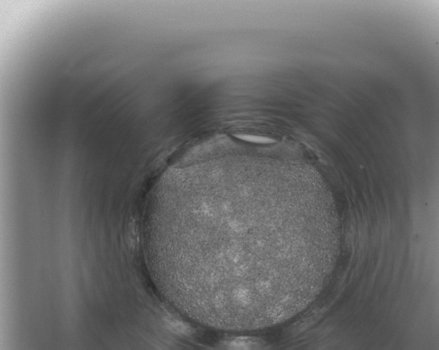 X0000066940467200604142028