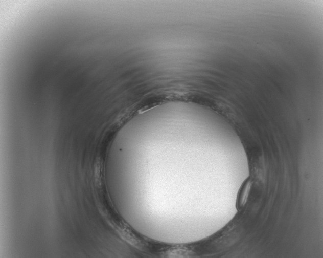 X0000066940468200604142028