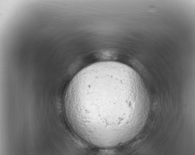 X0000066940469200604142028