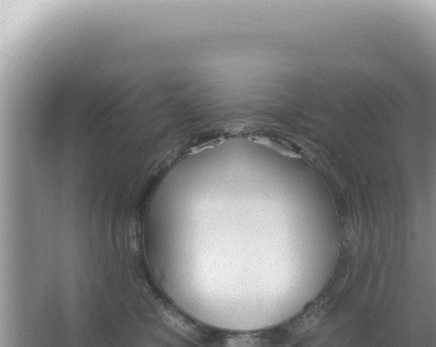 X0000066940470200604142028