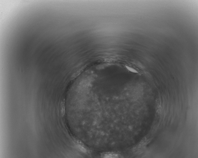 X0000066940471200604142028