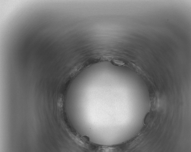 X0000066940472200604142028