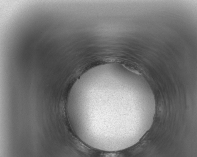 X0000066940473200604142028