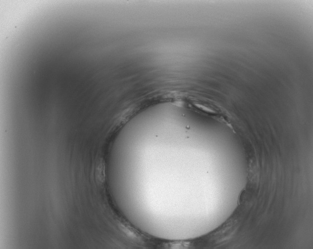 X0000066940474200604142028