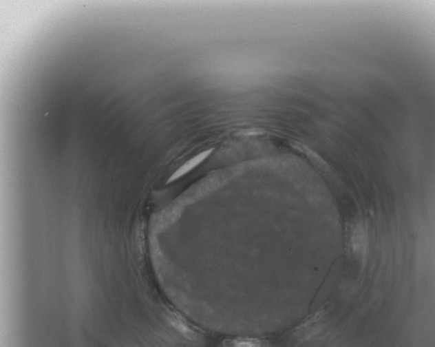 X0000066940475200604142028