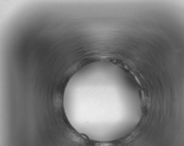 X0000066940476200604142028