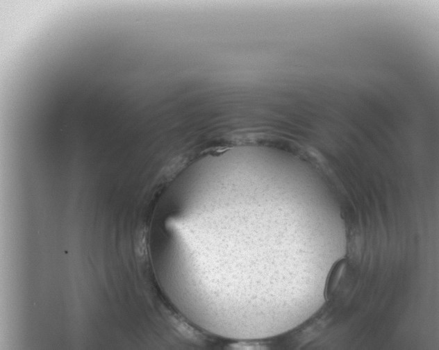 X0000066940477200604142028