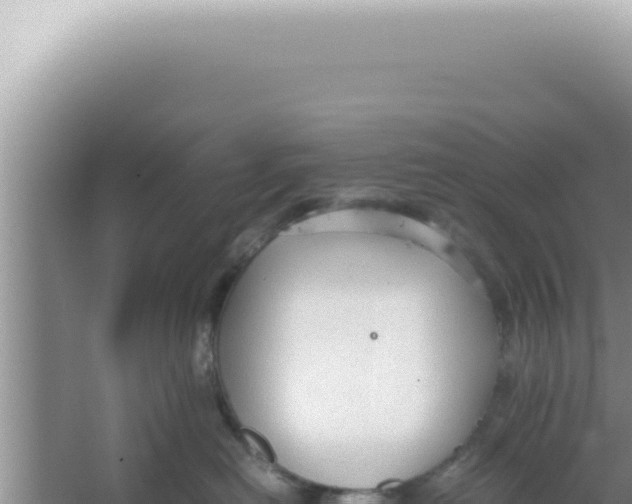 X0000066940478200604142028