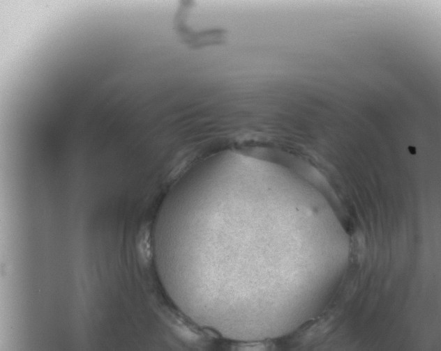 X0000066940479200604142028