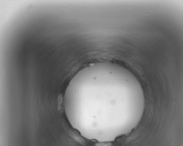 X0000066940480200604142028