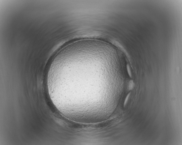 X0000066940483200604142027