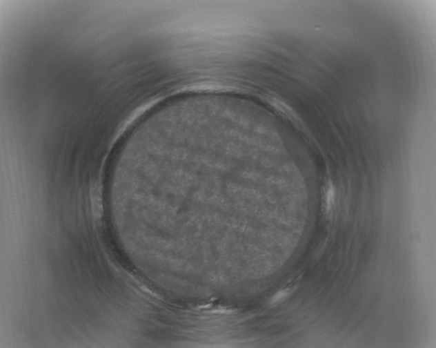 X0000066940484200604142027