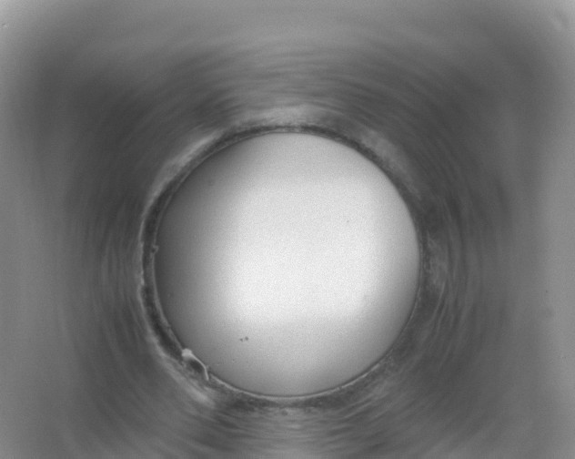 X0000066940486200604142027