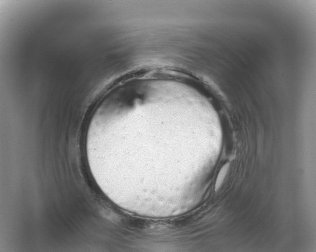 X0000066940487200604142027