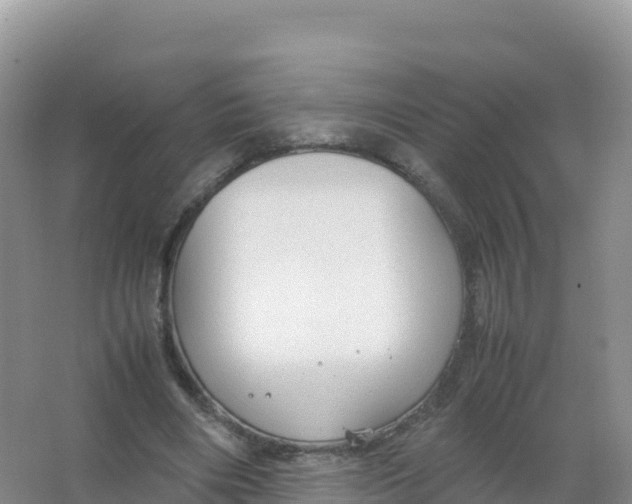 X0000066940490200604142027