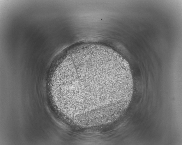 X0000066940491200604142027